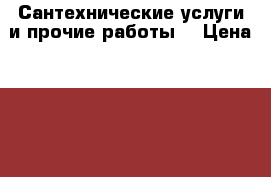 Сантехнические услуги и прочие работы. › Цена ­ 600 - Мордовия респ., Саранск г. Строительство и ремонт » Услуги   . Мордовия респ.,Саранск г.